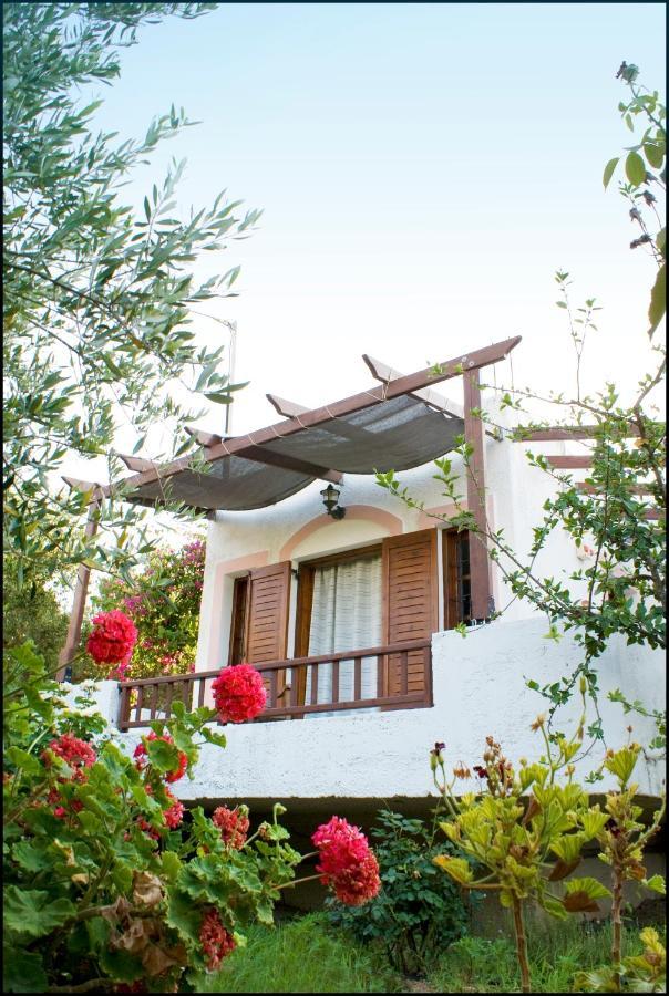 Apartament Voula'S Casa Di Mare Palekastro Pokój zdjęcie